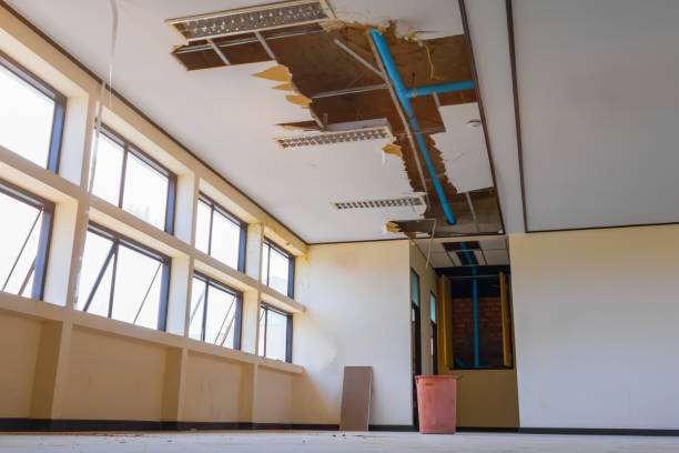 Best Commercial water damage restoration  in Marengo, IA