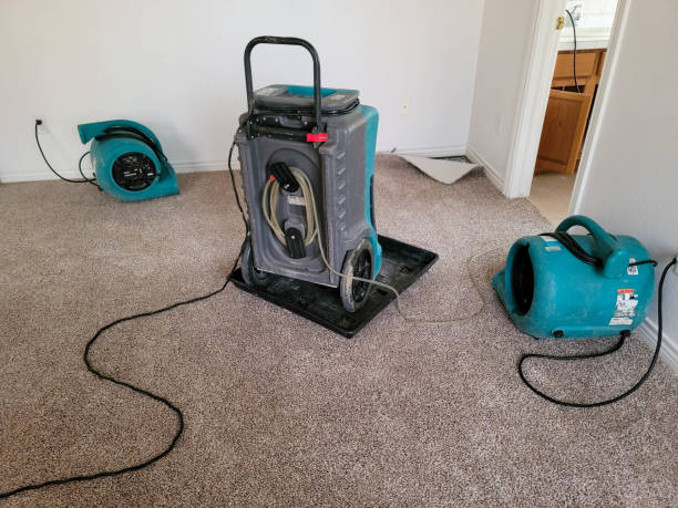 Best 24-hour water damage restoration  in Marengo, IA