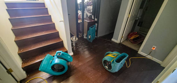 Best Professional water damage repair  in Marengo, IA
