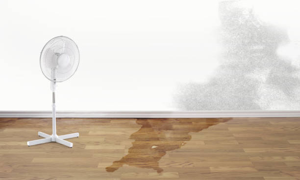 Best Sewage cleanup and water damage restoration  in Marengo, IA