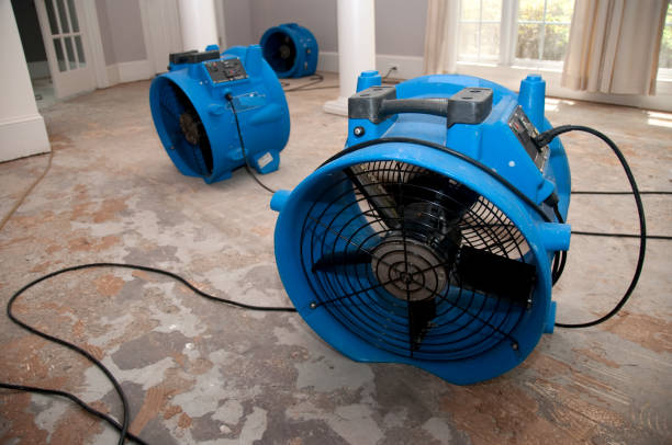 Best Basement water damage restoration  in Marengo, IA