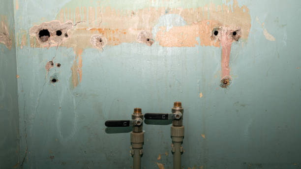 Best Water damage restoration near me  in Marengo, IA