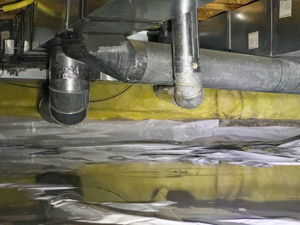 Best Local water damage restoration  in Marengo, IA