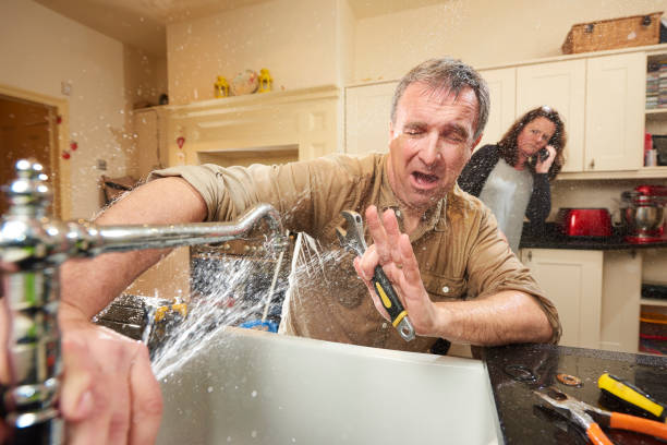 Best Mold removal after water damage  in Marengo, IA